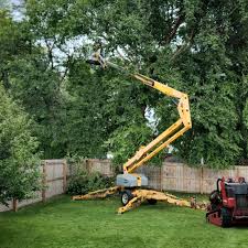 Lawn Grading and Leveling in Glenolden, PA