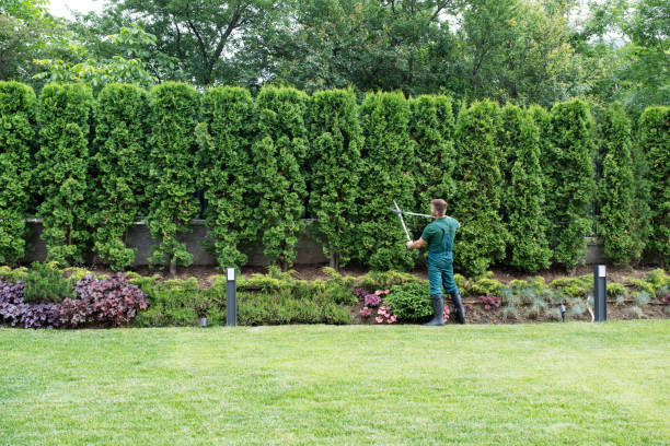 Lawn Pest Prevention in Glenolden, PA